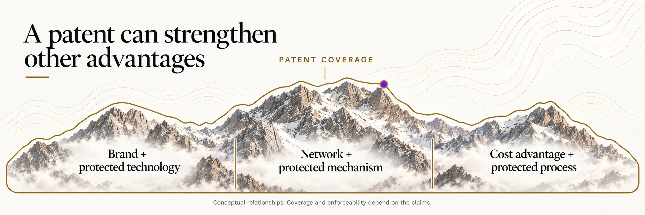 Patent coverage surrounds brand plus protected technology, network plus protected mechanism, and cost advantage plus protected process.